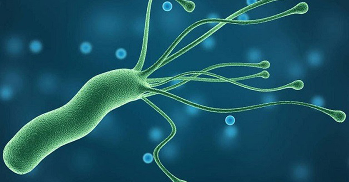 H.pylori là gì? Con đường lây nhiễm H.pylori và Cách xét nghiệm H.pylori