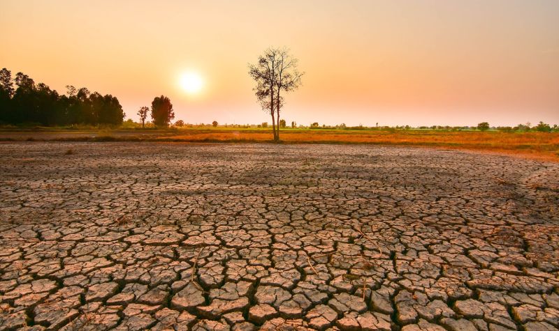 Tác động của hiện tượng El Nino
