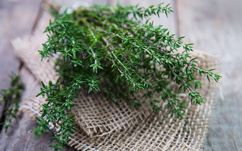 Hỗ trợ giảm huyết áp
