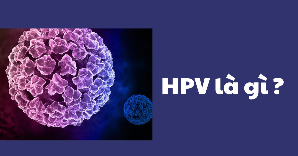 hpv là gì