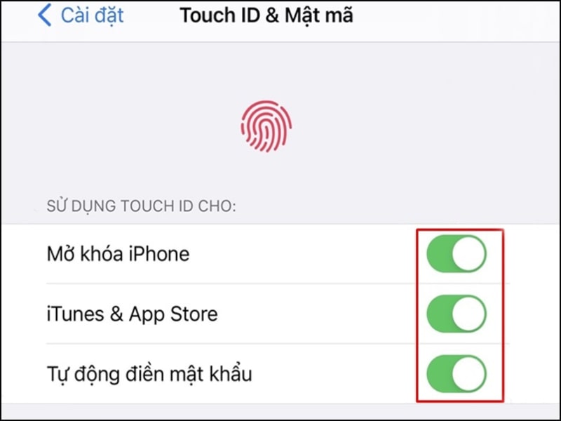 kích hoạt tính năng sử dụng touch id