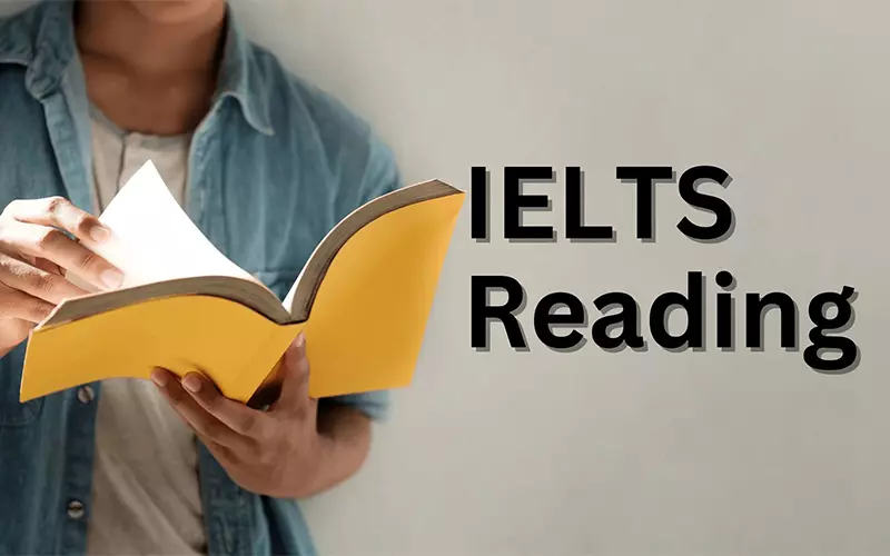 Bài thi đọc (IELTS Reading Test)
