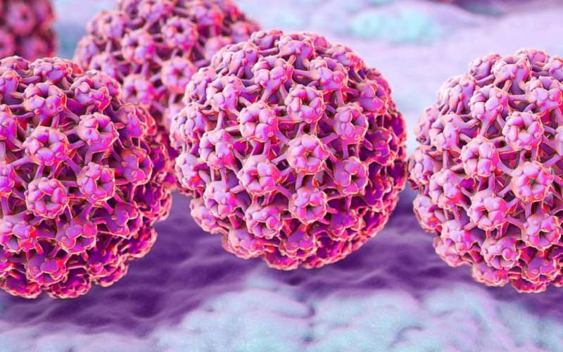 Khái niệm về virus HPV