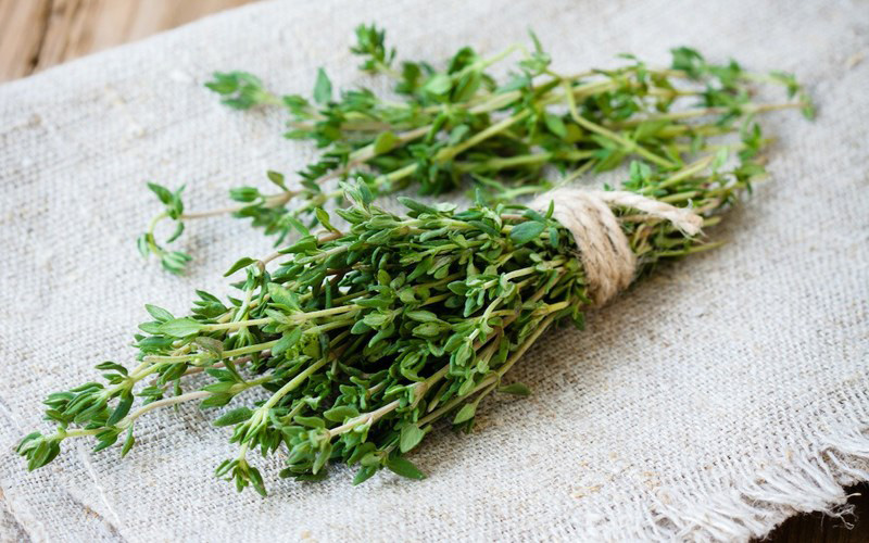 Lá thyme là gì?