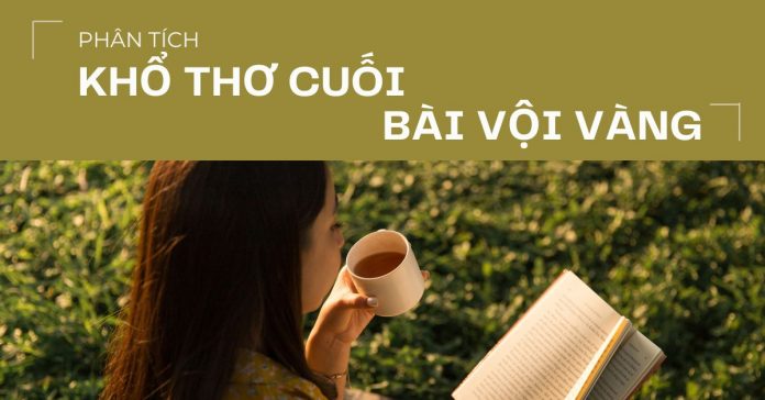 phan-tich-kho-ho-cuoi-bai-voi-vang-1