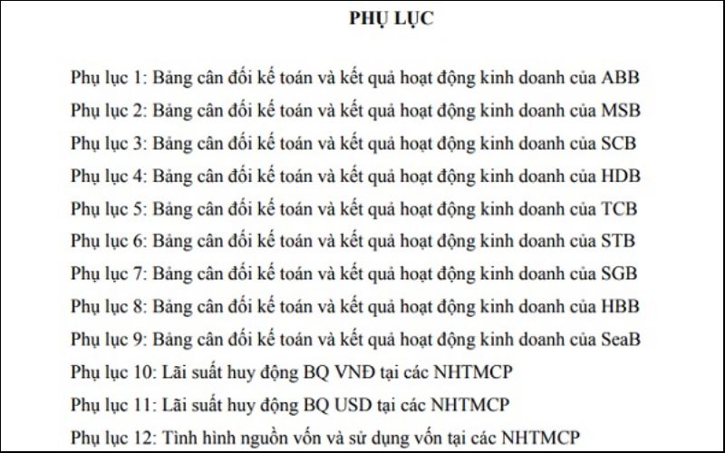 Phụ lục chứa các thông tin nhằm bổ sung các lập luận chính