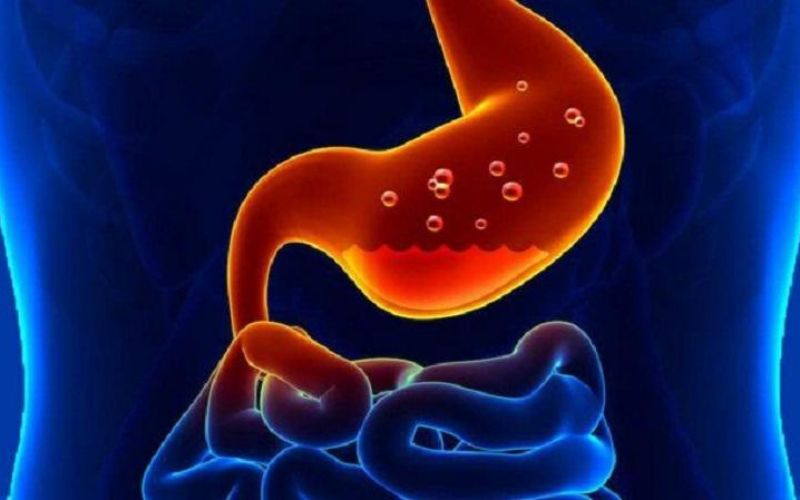 Phủ vị là dịch vị trong dạ dày