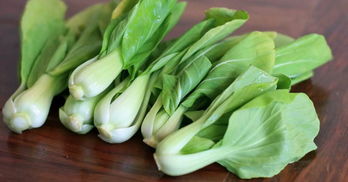 rau cải thìa