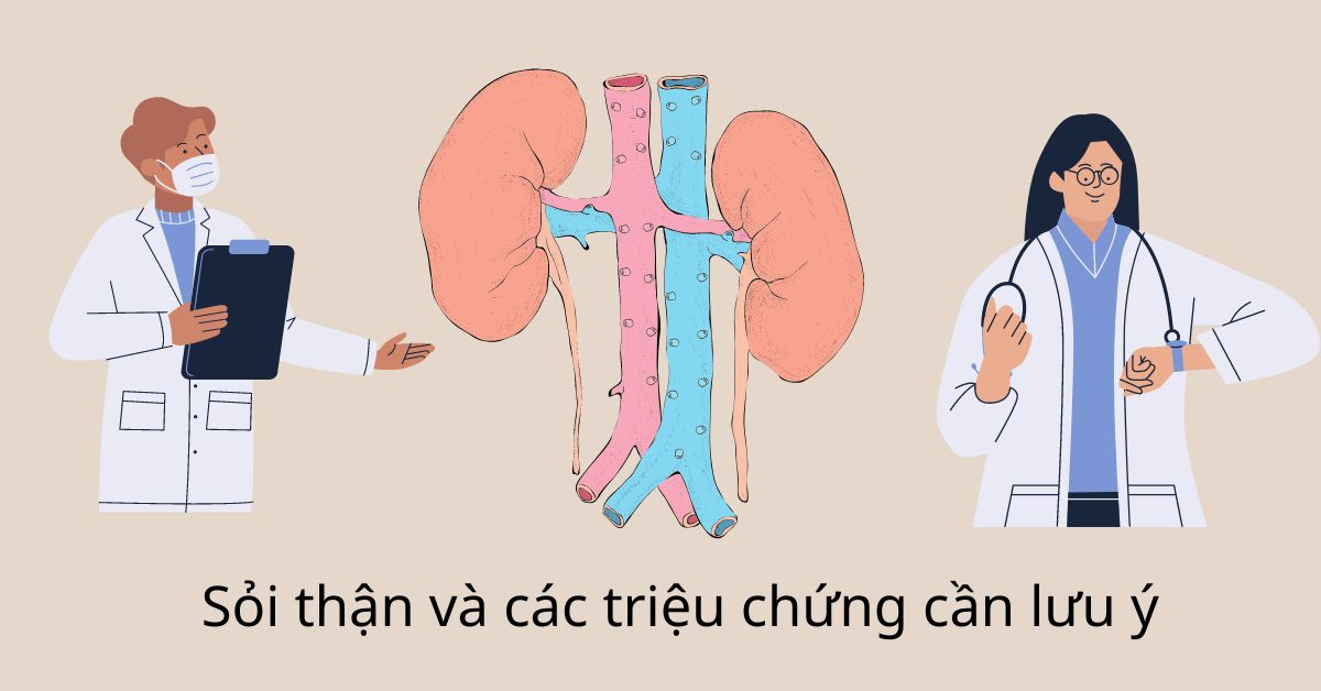sỏi thận là gì