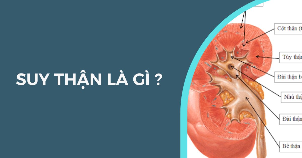 suy thận là gì