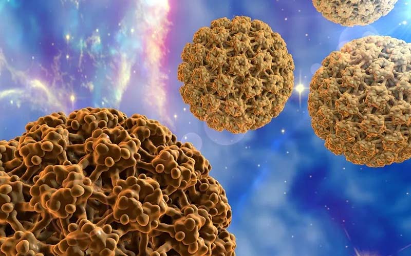 Virus HPV có rất nhiều chủng loại khác nhau