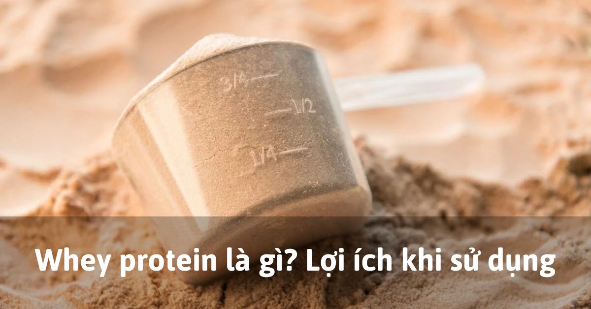 Whey protein là gì