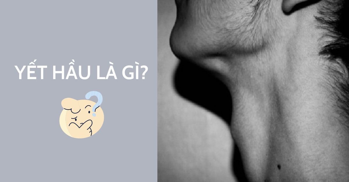 yết hầu là gì