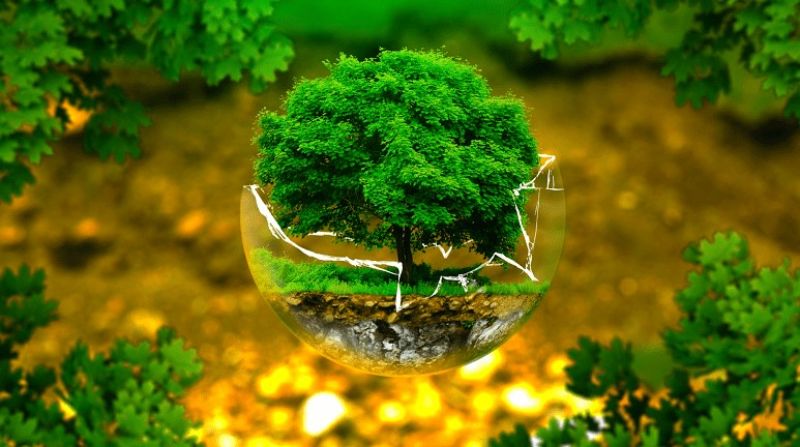 Bảo tồn hệ sinh thái là điều thực sự cần thiết Bảo tồn hệ sinh thái là điều thực sự cần thiết
