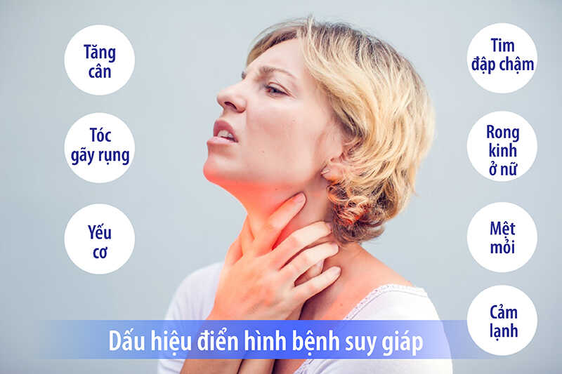Suy giảm tuyến giáp là nguyên nhân gây rụng tóc