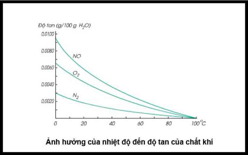 Yếu tố ảnh hưởng tới độ tan