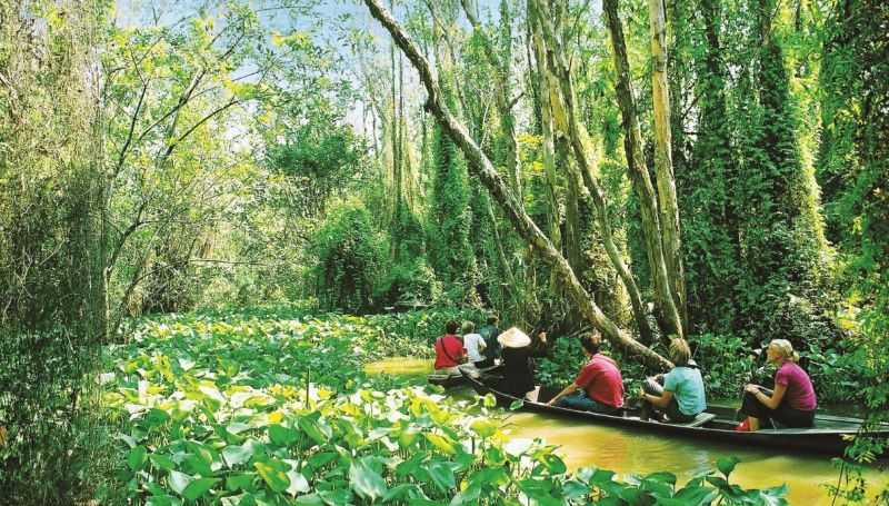 Gáo Giồng - điểm đến không thể bỏ qua tại tỉnh Đồng Tháp Gáo Giồng - điểm đến không thể bỏ qua tại tỉnh Đồng Tháp