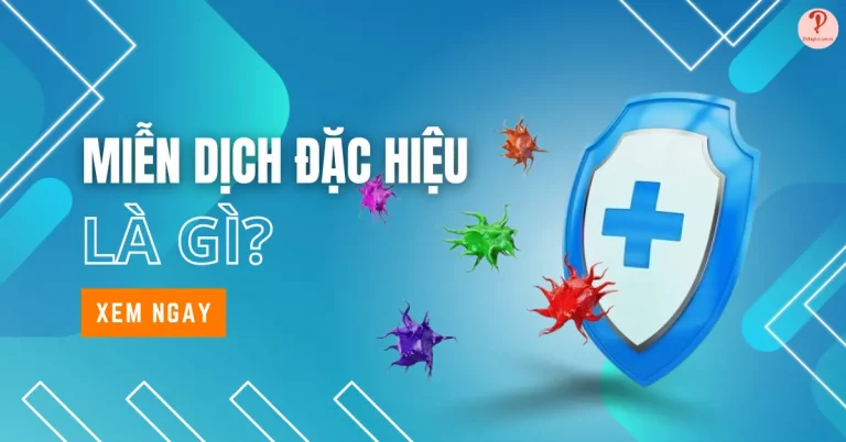 Miễn dịch đặc hiệu là gì? Có đặc điểm và vai trò ra sao?