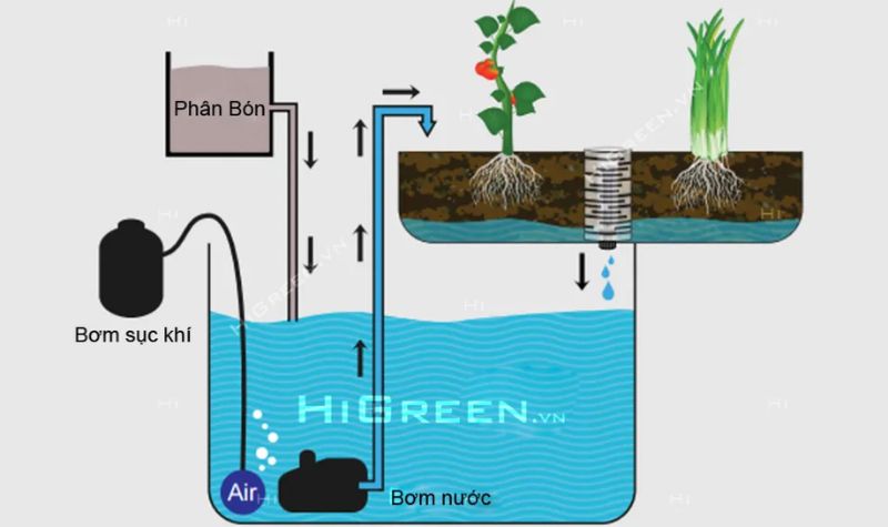 Kiến thức và kỹ năng chuyên môn