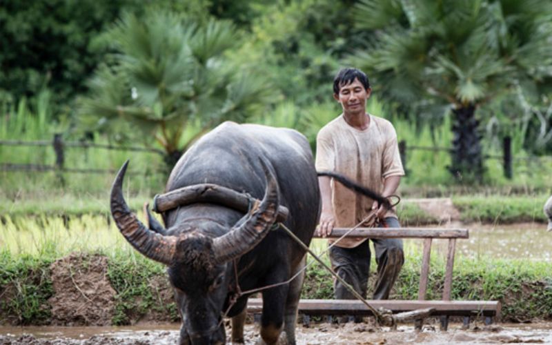 nguyễn hữu thân cải tiến phép lịch để giúp nông dân