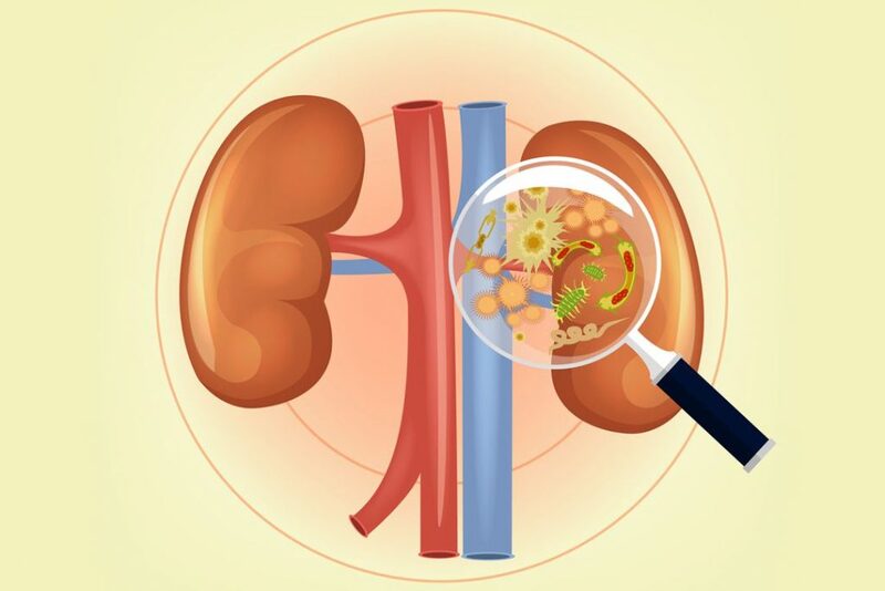 Tiểu ra máu do thận bị nhiễm khuẩn
