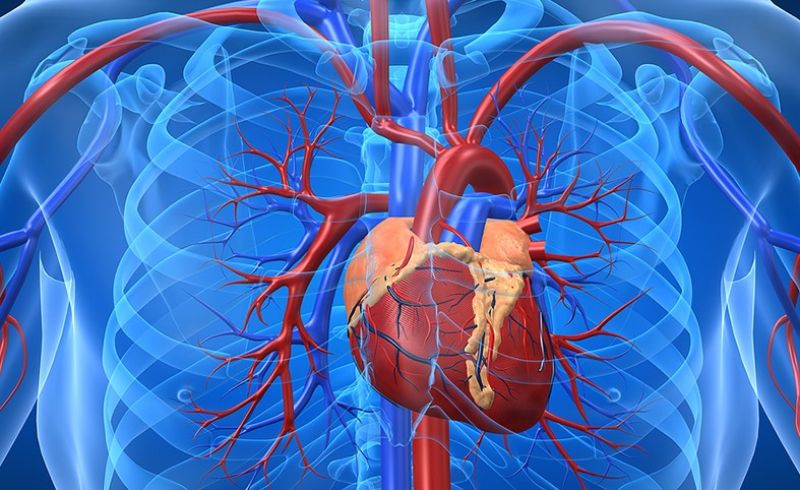 Nhồi máu cơ tim là bệnh lý cực kỳ nguy hiểm, có thể gây tử vong Nhồi máu cơ tim là bệnh lý cực kỳ nguy hiểm, có thể gây tử vong