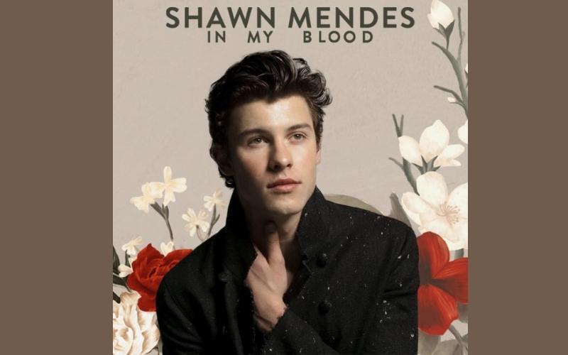 Shawn Mendes - In My Blood