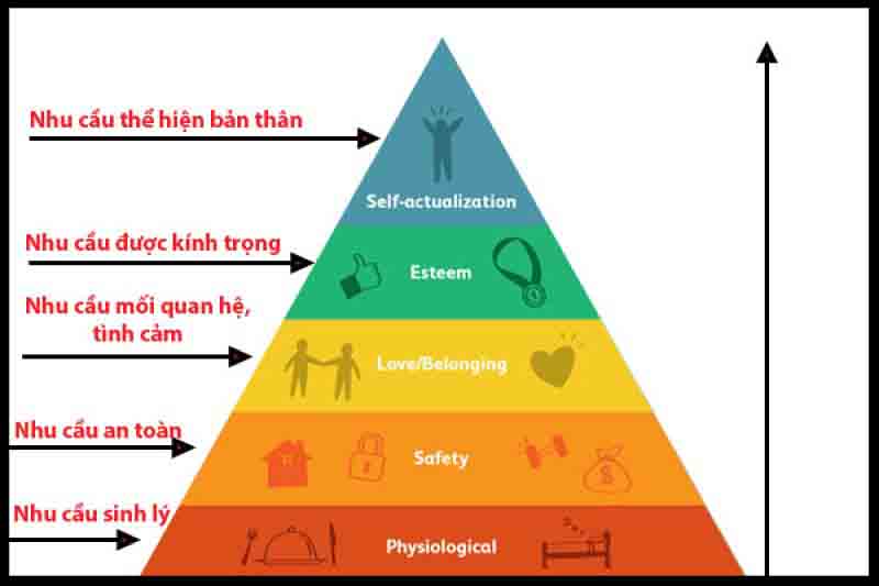 Tháp nhu cầu Maslow trong Marketing