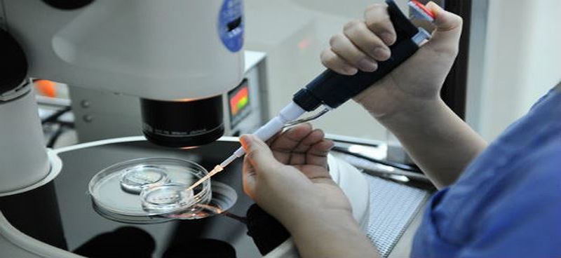 Bác sĩ cần lấy mẫu tinh trùng của người chồng