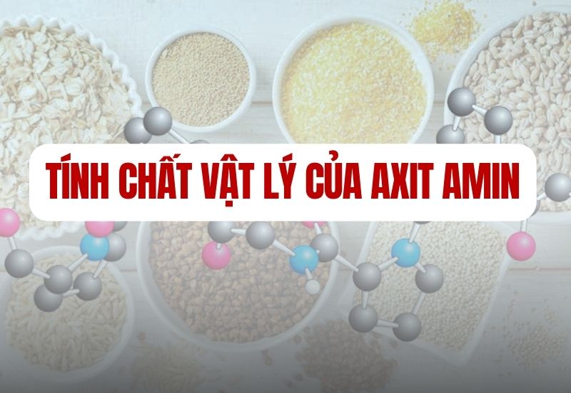 Tính chất vật lý của axit amin