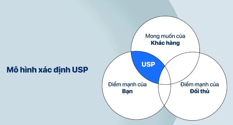 Vai trò của USP