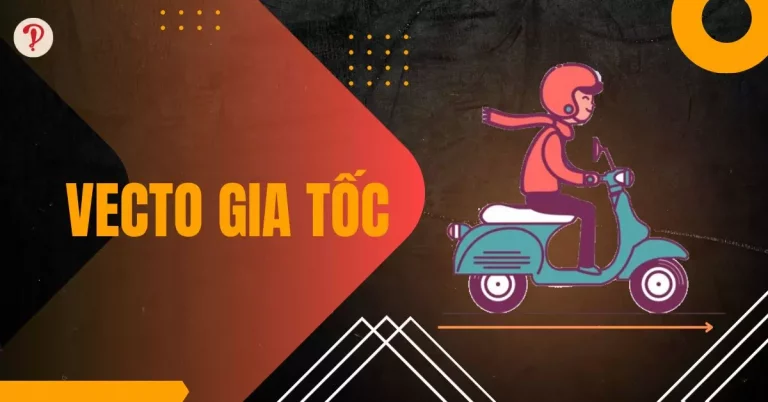 Vecto gia tốc