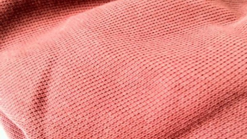 Cotton hay còn gọi là sợi bông