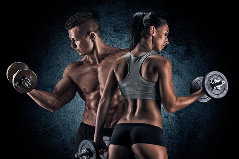 Khái niệm fitness là gì?