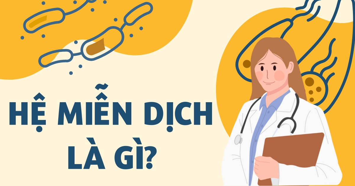 hệ miễn dịch là gì