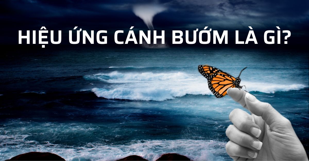 hiệu ứng cánh bướm là gì