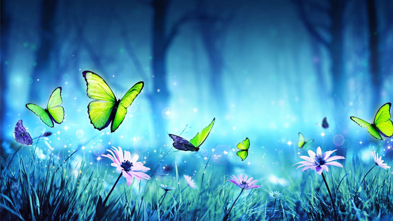 Hiệu ứng cánh bướm có tên tiếng anh là butterfly effect