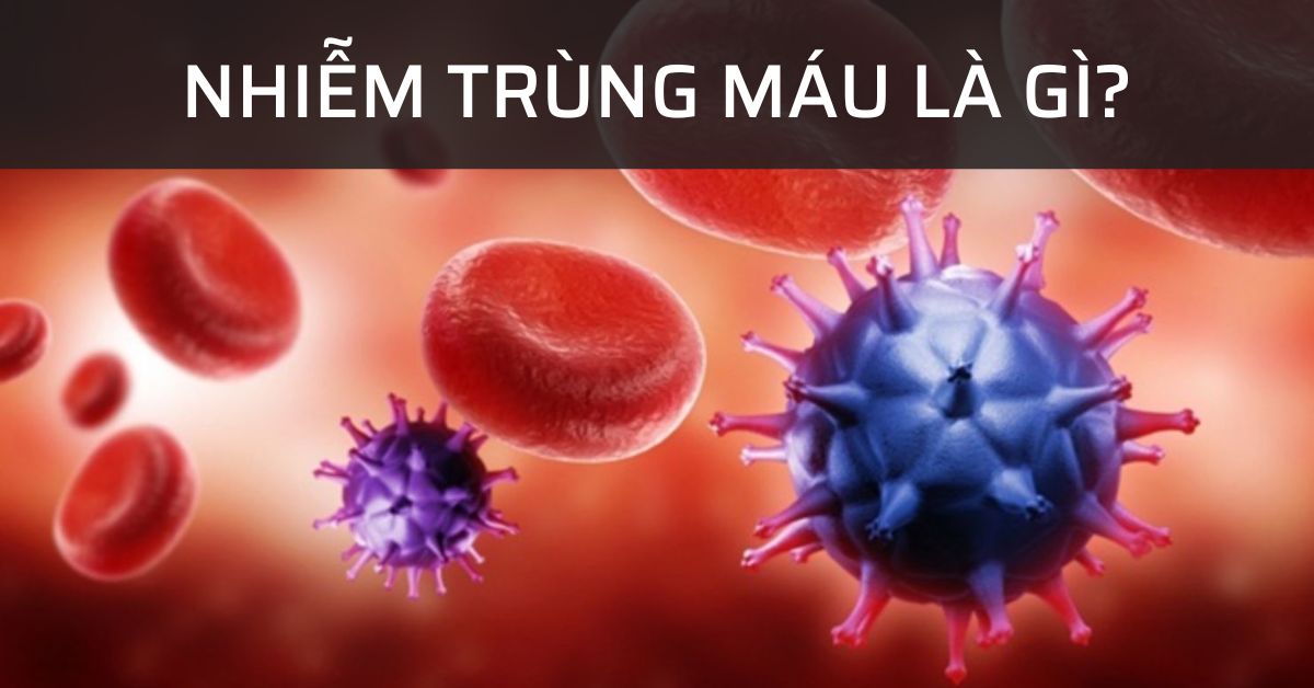 nhiễm trùng máu là gì