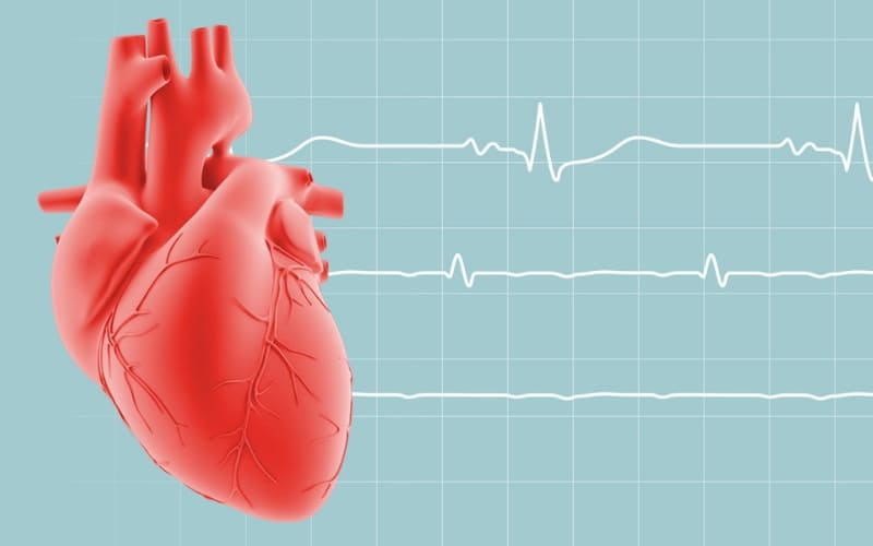 Phát hiện cấu trúc bất thường của tim