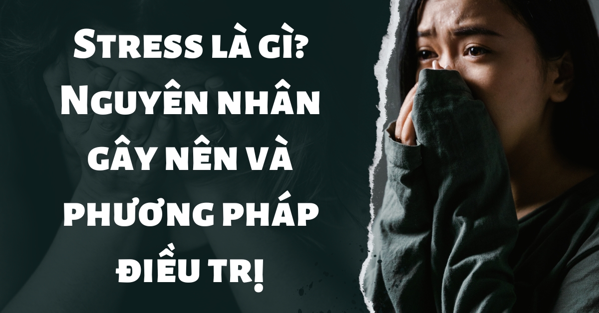 stress là gì