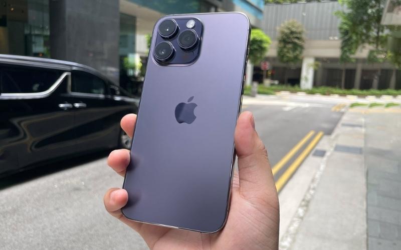 Màu Deep Purple đang là hot trend hiện nay