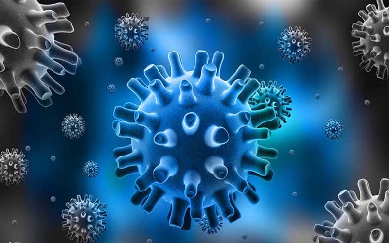 Virus Herpes là gì?