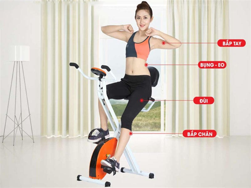Xe đạp có ghế tựa lưng