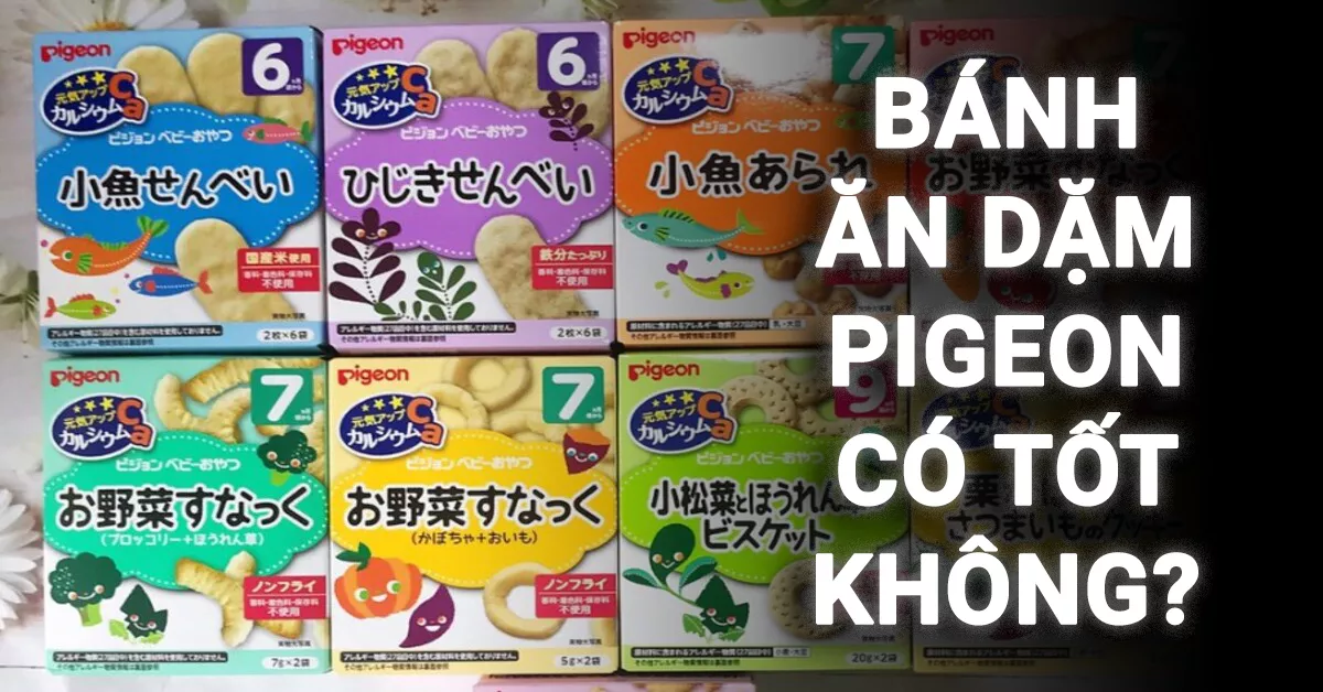 banh-an-dam-pigeon-co-tot-khong
