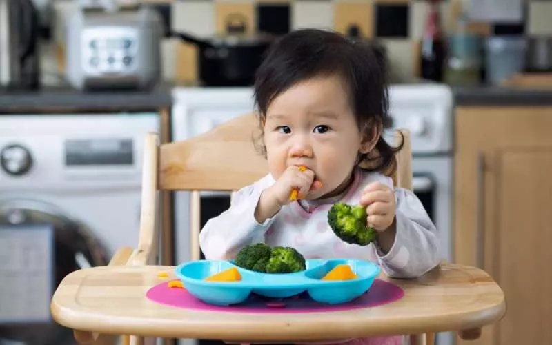 Bé có thể ăn thức ăn thô sớm hơn