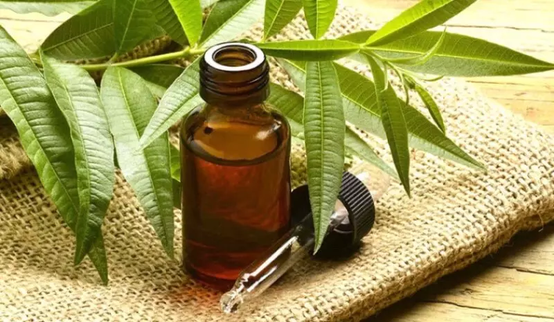 Tea Tree Oil