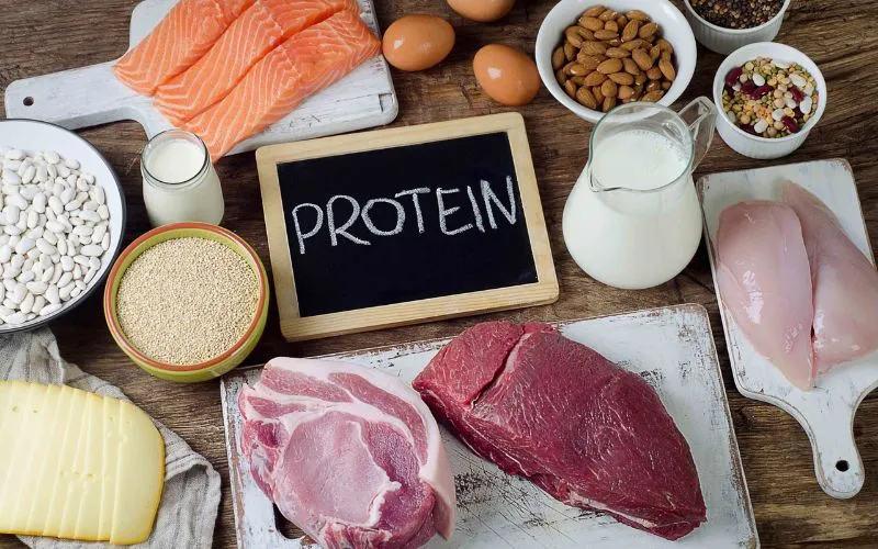 Cung cấp đủ lượng protein theo khuyến nghị