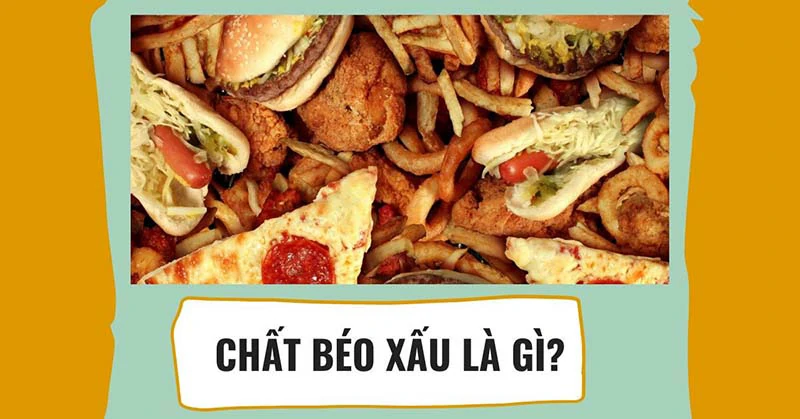 Tìm hiểu về chất béo xấu