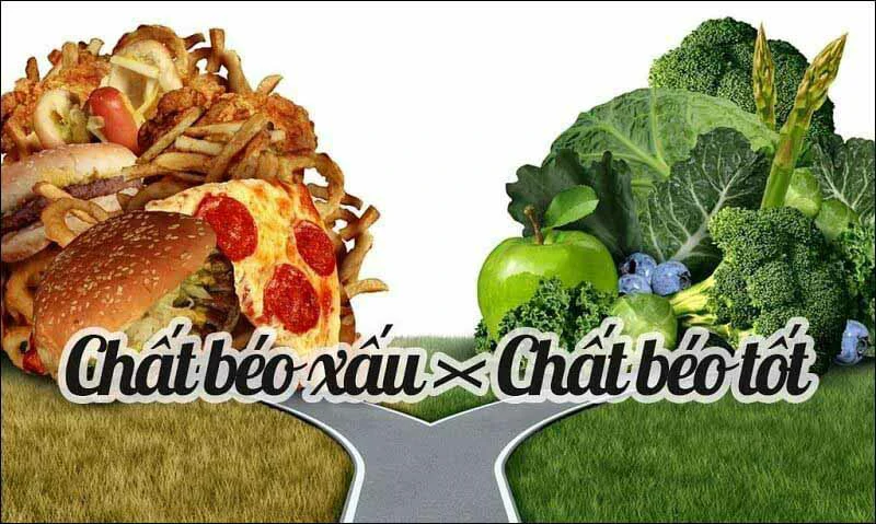 Tìm hiểu về chất béo xấu