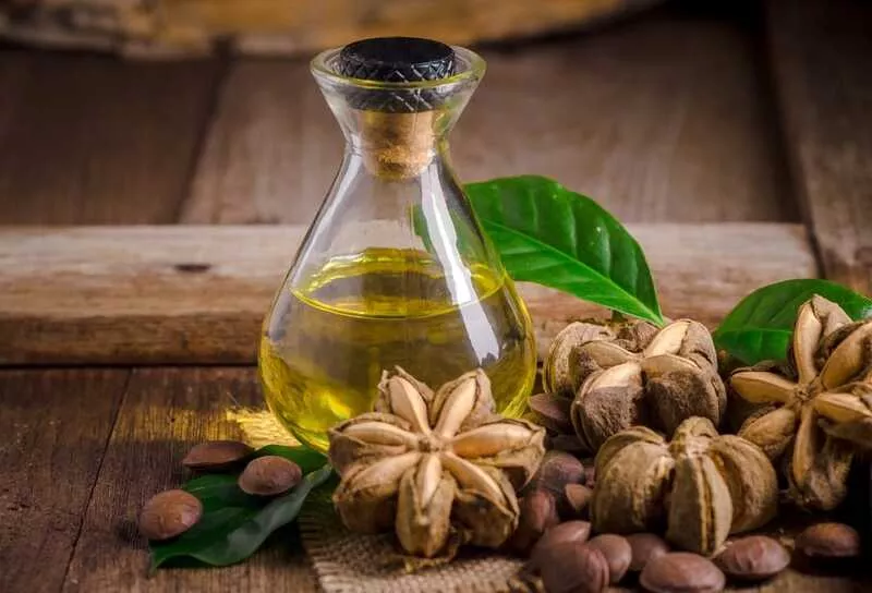 Hàm lượng dinh dưỡng có trong dầu Sachi